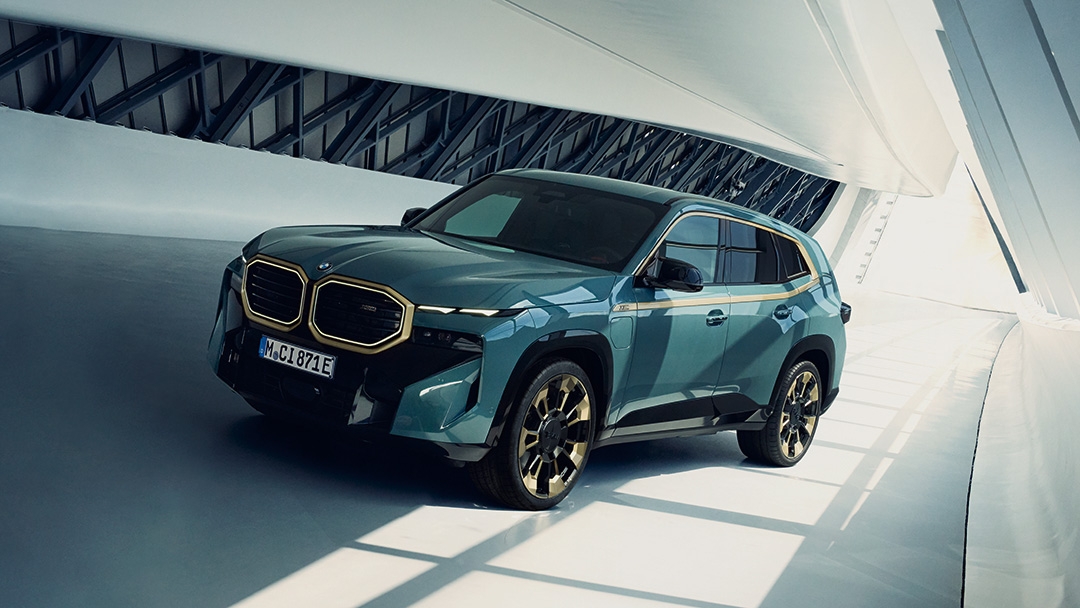 Адаптивная подвеска M Professional